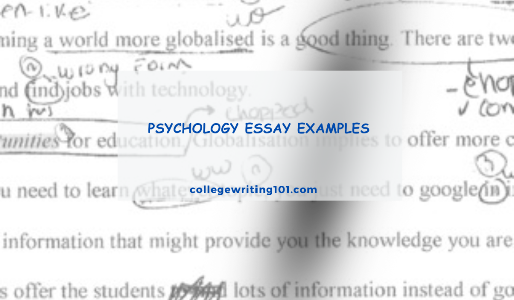 Psychology Essay Examples