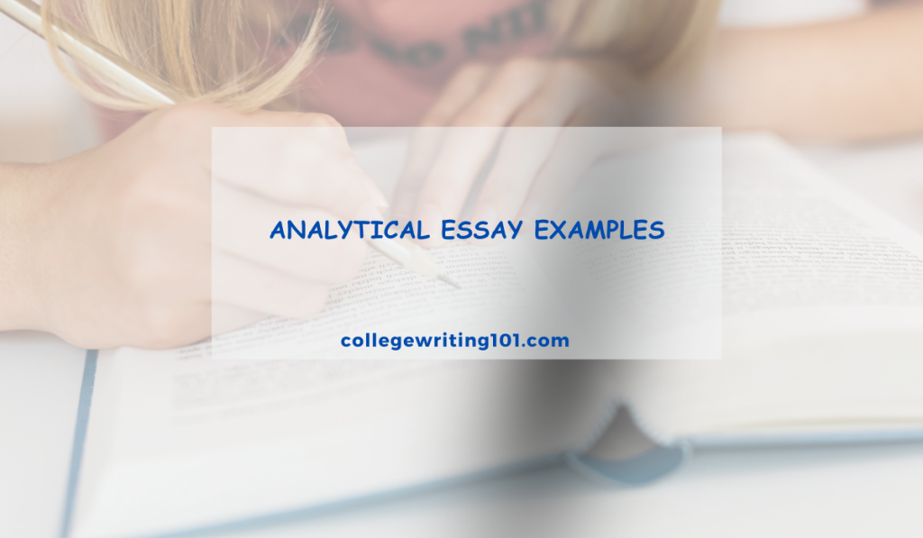 Analytical Essay Examples
